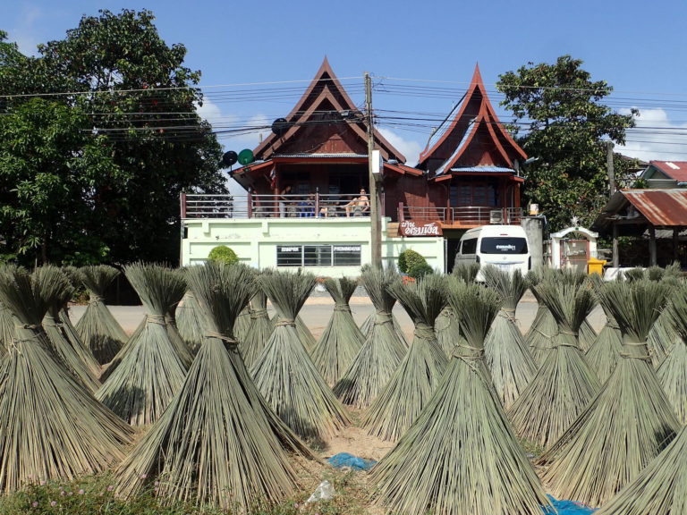 Thaisko - Adventure club